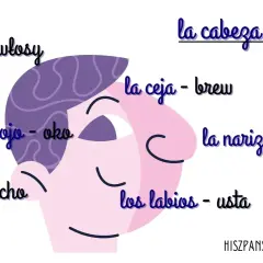 Ilustracja twarzy z podpisami po hiszpańsku i polsku: la cabeza (głowa), el pelo (włosy), el ojo (oko), la oreja (ucho), la ceja (brew), la nariz (nos), los labios (usta).