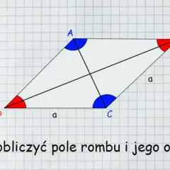 Romb ABCD z zaznaczonymi przekątnymi. Wzór na pole rombu zależy od długości przekątnych.