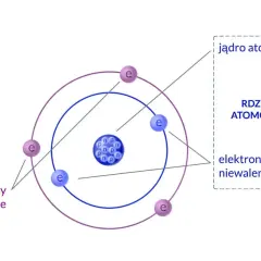 Schemat budowy atomu w fizyce: jądro z protonami (p) i neutronami (n) oraz elektrony (e) krążące po orbitach. Elektrony walencyjne i niewalencyjne.