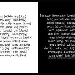 Lista trudnych słów po niemiecku z tłumaczeniem na polski, np. "kurz" (krótki) i "lang" (długi).