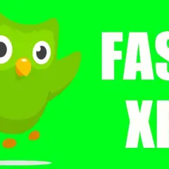 Zielony ptak z Duolingo obok napisu FAST XP. Dowiedz się, jak szybko zdobyć punkty w aplikacji.