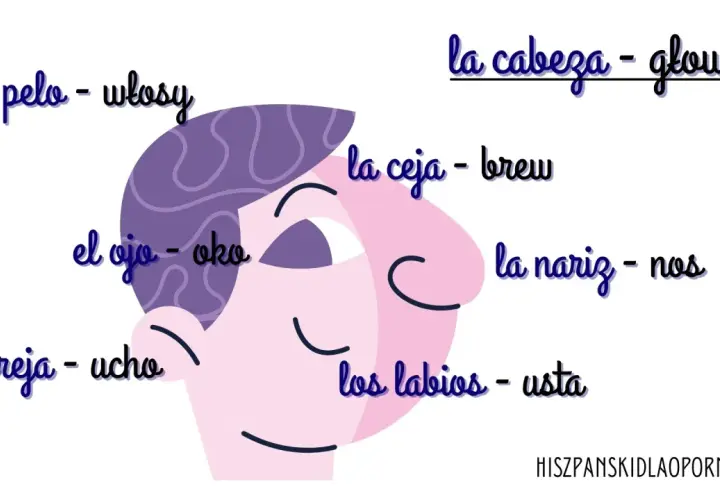 Ilustracja twarzy z podpisami po hiszpańsku i polsku: la cabeza (głowa), el pelo (włosy), el ojo (oko), la oreja (ucho), la ceja (brew), la nariz (nos), los labios (usta).
