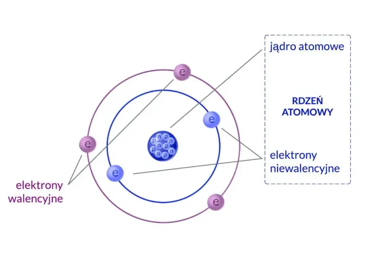 Schemat budowy atomu w fizyce: jądro z protonami (p) i neutronami (n) oraz elektrony (e) krążące po orbitach. Elektrony walencyjne i niewalencyjne.