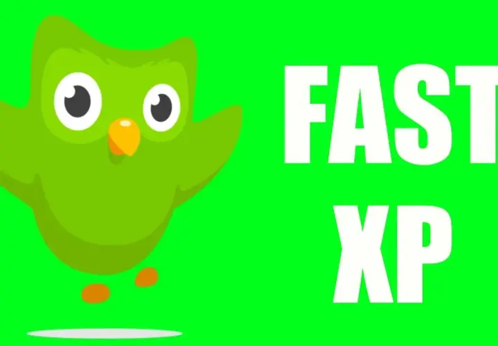 Zielony ptak z Duolingo obok napisu FAST XP. Dowiedz się, jak szybko zdobyć punkty w aplikacji.