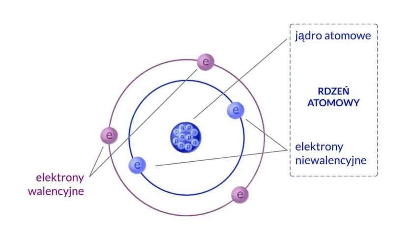 Schemat budowy atomu w fizyce: jądro z protonami (p) i neutronami (n) oraz elektrony (e) krążące po orbitach. Elektrony walencyjne i niewalencyjne.