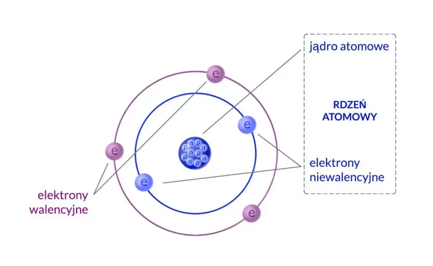 Budowa atomu bez tajemnic - protony, neutrony i elektrony