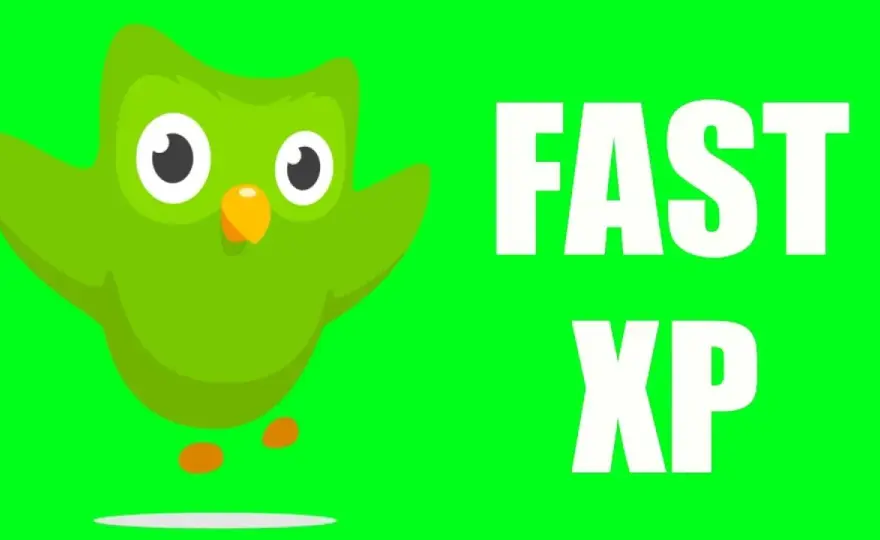 Jak szybko zdobywać XP w Duolingo? Sprawdzone sposoby