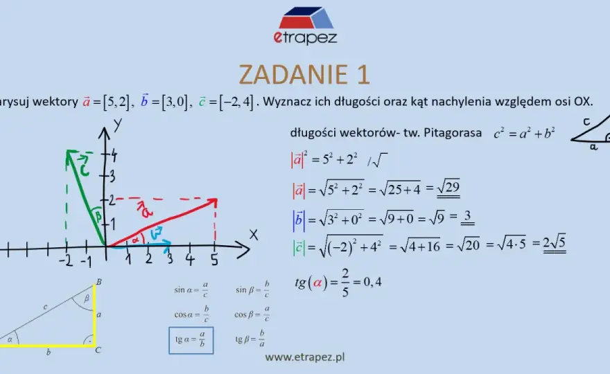 Jak obliczyć wektor? Wzory na długość, kąt i składowe